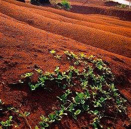 《暗黑之门：救赎》游戏启动 前魔兽团队名作新篇