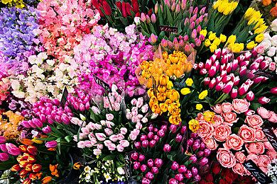 《维纳斯璀璨假期：死或生沙滩排球》第四位女主PV