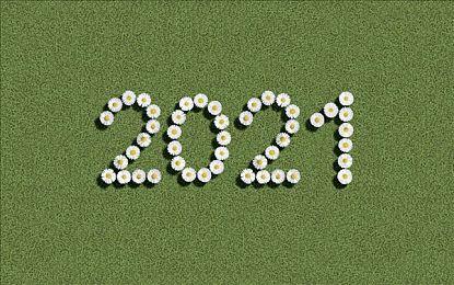 经营一家偷感十足的旅馆！《莎拉的黑店》全新PV公布