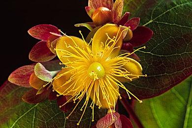 小岛秀夫透露《死亡搁浅2》新角色“Neil”选角幕后 演员是《合金装备》老粉